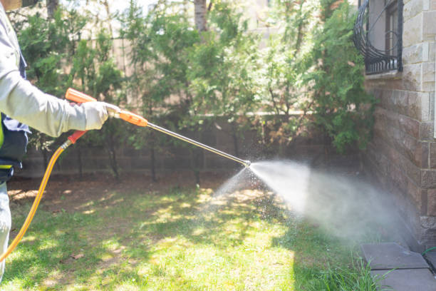 Best Fumigation Services  in Berwyn Heights, MD